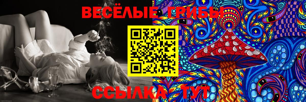 Псилоцибиновые грибы Psilocybe Избербаш