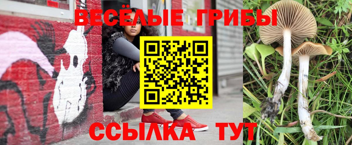 Псилоцибиновые грибы Psilocybe  Псилоцибиновые грибы мицелий  Вход с VPN  Избербаш 